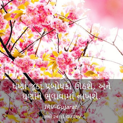 Picture 03 - માથ્થી 24:11 GUJIRV - ઘણાં જૂઠાં - Bible Verse Picture