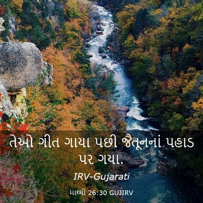 Picture 03 - માથ્થી 26:30 GUJIRV - તેઓ ગીત ગાયા પછી - Bible Verse Picture