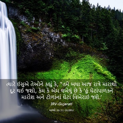 Picture 03 - માથ્થી 26:31 GUJIRV - ત્યારે ઈસુએ તેઓને - Bible Verse Picture