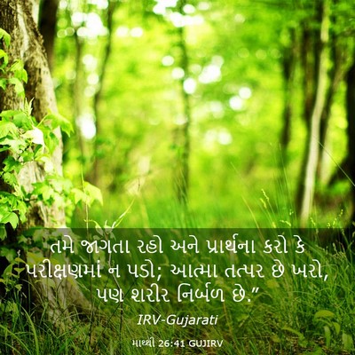 Picture 03 - માથ્થી 26:41 GUJIRV - તમે જાગતા રહો અને - Bible Verse Picture