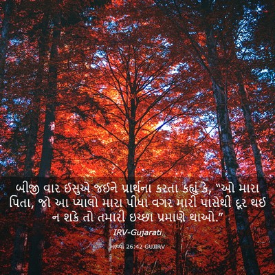 Picture 03 - માથ્થી 26:42 GUJIRV - બીજી વાર ઈસુએ જઈને - Bible Verse Picture