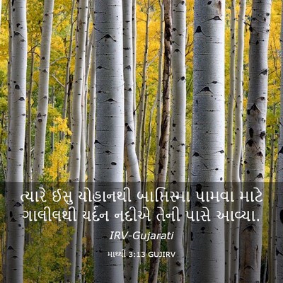 Picture 03 - માથ્થી 3:13 GUJIRV - ત્યારે ઈસુ - Bible Verse Picture
