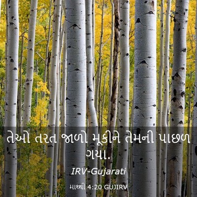 Picture 03 - માથ્થી 4:20 GUJIRV - તેઓ તરત જાળો - Bible Verse Picture