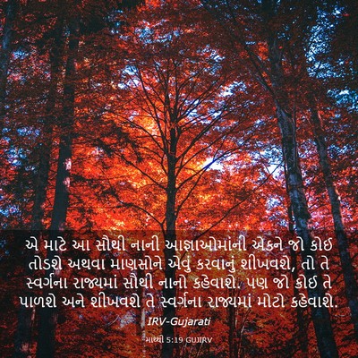 Picture 03 - માથ્થી 5:19 GUJIRV - એ માટે આ સૌથી નાની - Bible Verse Picture
