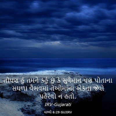Picture 03 - માથ્થી 6:29 GUJIRV - તોપણ હું તમને કહું - Bible Verse Picture
