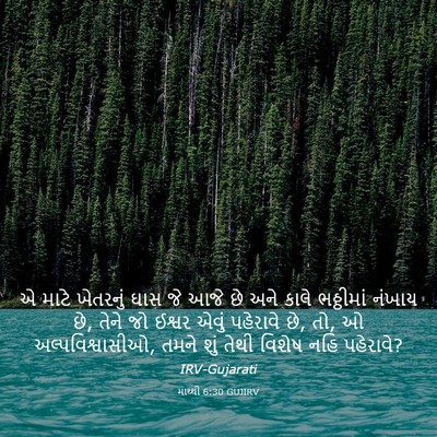 Picture 03 - માથ્થી 6:30 GUJIRV - એ માટે ખેતરનું ઘાસ - Bible Verse Picture