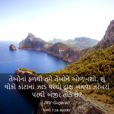 Picture 03 - માથ્થી 7:16 GUJIRV - તેઓનાં ફળથી તમે - Bible Verse Picture