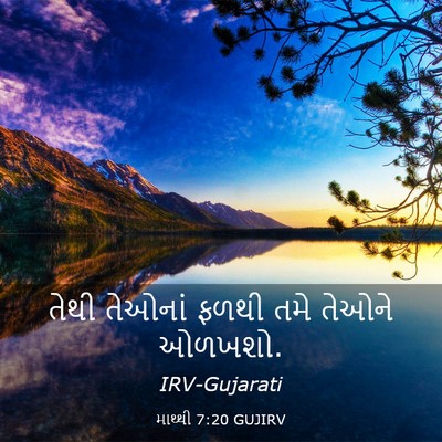 Picture 03 - માથ્થી 7:20 GUJIRV - તેથી તેઓનાં ફળથી - Bible Verse Picture