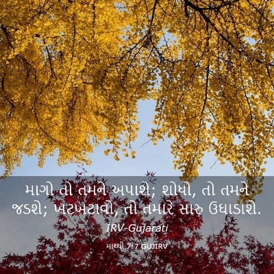 Picture 03 - માથ્થી 7:7 GUJIRV - માગો તો તમને અપાશે; - Bible Verse Picture