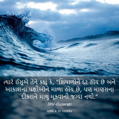 Picture 03 - માથ્થી 8:20 GUJIRV - ત્યારે ઈસુએ તેને - Bible Verse Picture
