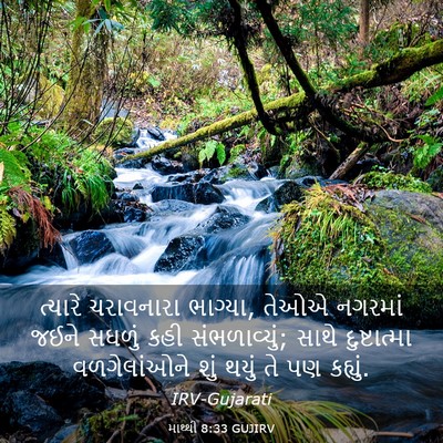 Picture 03 - માથ્થી 8:33 GUJIRV - ત્યારે ચરાવનારા - Bible Verse Picture