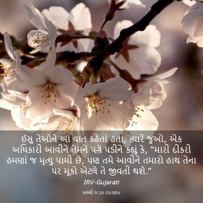 Picture 03 - માથ્થી 9:18 GUJIRV - ઈસુ તેઓને આ વાત - Bible Verse Picture