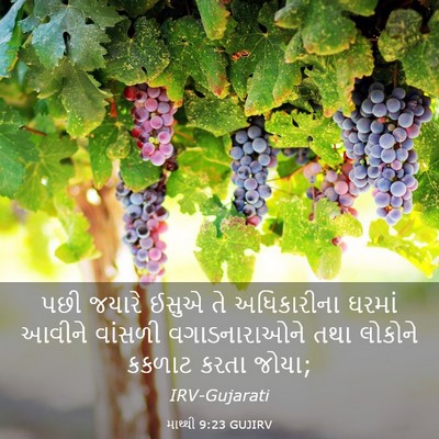 Picture 03 - માથ્થી 9:23 GUJIRV - પછી જયારે ઈસુએ તે - Bible Verse Picture