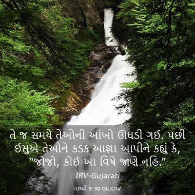 Picture 03 - માથ્થી 9:30 GUJIRV - તે જ સમયે તેઓની - Bible Verse Picture