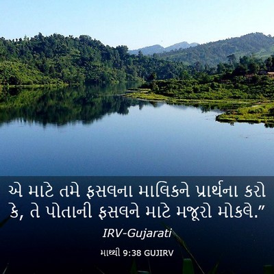 Picture 03 - માથ્થી 9:38 GUJIRV - એ માટે તમે ફસલના - Bible Verse Picture