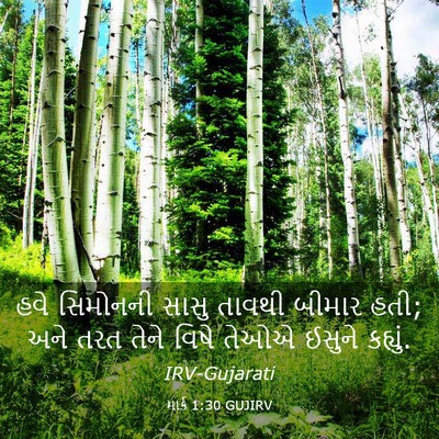 Picture 03 - માર્ક 1:30 GUJIRV - હવે સિમોનની સાસુ - Bible Verse Picture