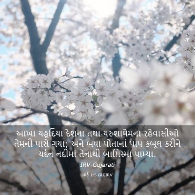 Picture 03 - માર્ક 1:5 GUJIRV - આખા યહૂદિયા દેશના - Bible Verse Picture