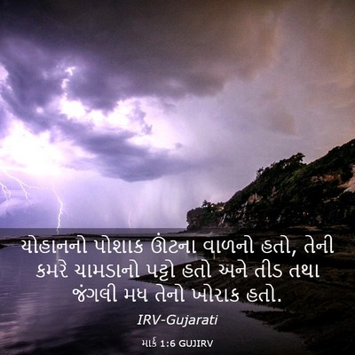 Picture 03 - માર્ક 1:6 GUJIRV - યોહાનનો પોશાક - Bible Verse Picture