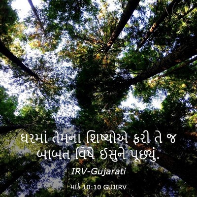 Picture 03 - માર્ક 10:10 GUJIRV - ઘરમાં તેમના - Bible Verse Picture
