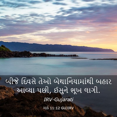 Picture 03 - માર્ક 11:12 GUJIRV - બીજે દિવસે તેઓ - Bible Verse Picture