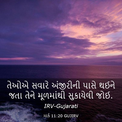 Picture 03 - માર્ક 11:20 GUJIRV - તેઓએ સવારે - Bible Verse Picture