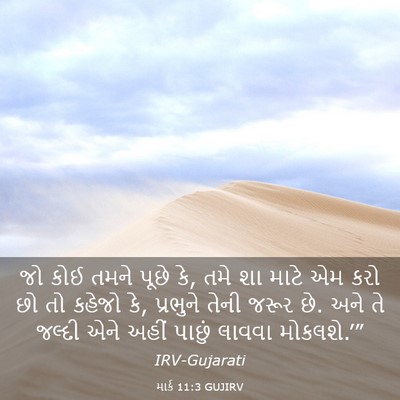 Picture 03 - માર્ક 11:3 GUJIRV - જો કોઈ તમને પૂછે - Bible Verse Picture