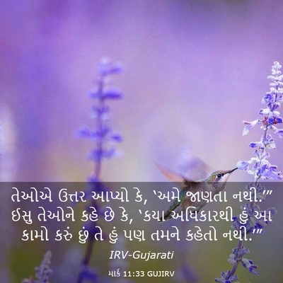 Picture 03 - માર્ક 11:33 GUJIRV - તેઓએ ઉત્તર આપ્યો - Bible Verse Picture