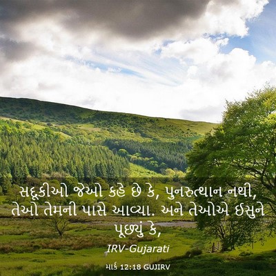 Picture 03 - માર્ક 12:18 GUJIRV - સદૂકીઓ જેઓ કહે છે - Bible Verse Picture
