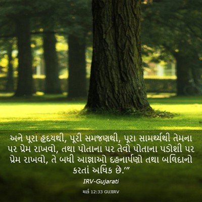 Picture 03 - માર્ક 12:33 GUJIRV - અને પૂરા હૃદયથી, - Bible Verse Picture