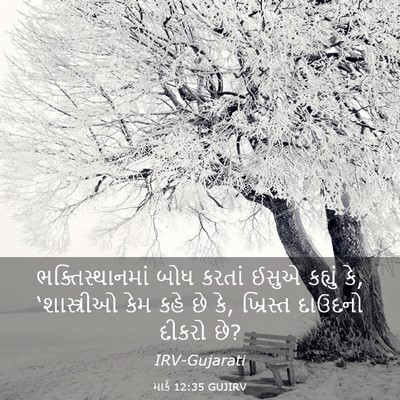 Picture 03 - માર્ક 12:35 GUJIRV - ભક્તિસ્થાનમાં બોધ - Bible Verse Picture