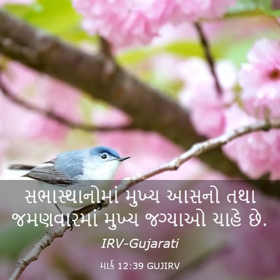 Picture 03 - માર્ક 12:39 GUJIRV - સભાસ્થાનોમાં - Bible Verse Picture