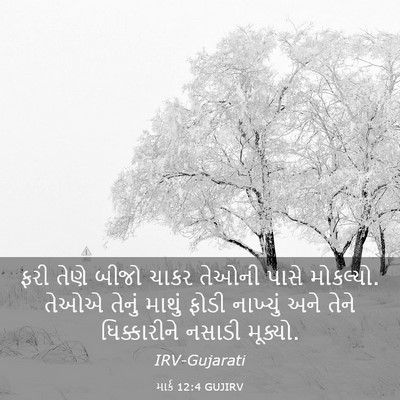 Picture 03 - માર્ક 12:4 GUJIRV - ફરી તેણે બીજો ચાકર - Bible Verse Picture