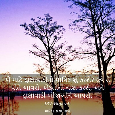 Picture 03 - માર્ક 12:9 GUJIRV - એ માટે - Bible Verse Picture