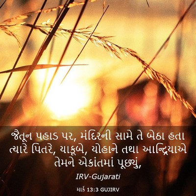 Picture 03 - માર્ક 13:3 GUJIRV - જૈતૂન પહાડ પર, - Bible Verse Picture