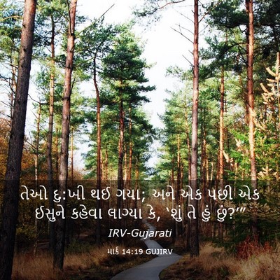 Picture 03 - માર્ક 14:19 GUJIRV - તેઓ દુ:ખી થઈ ગયા; - Bible Verse Picture