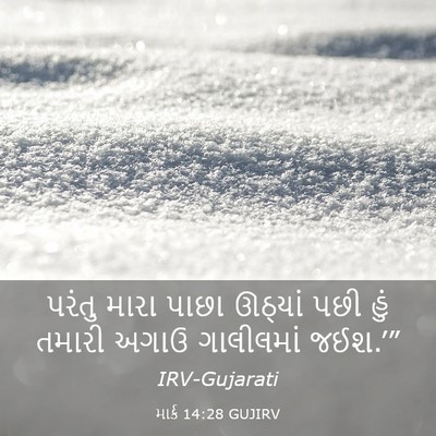 Picture 03 - માર્ક 14:28 GUJIRV - પરંતુ મારા પાછા - Bible Verse Picture