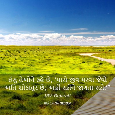 Picture 03 - માર્ક 14:34 GUJIRV - ઈસુ તેઓને કહે છે, - Bible Verse Picture