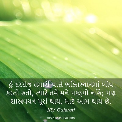 Picture 03 - માર્ક 14:49 GUJIRV - હું દરરોજ તમારી - Bible Verse Picture