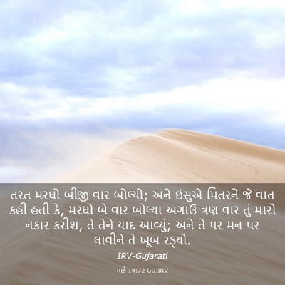 Picture 03 - માર્ક 14:72 GUJIRV - તરત મરઘો બીજી વાર - Bible Verse Picture