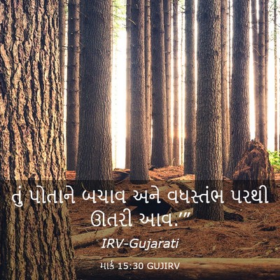 Picture 03 - માર્ક 15:30 GUJIRV - તું પોતાને બચાવ - Bible Verse Picture