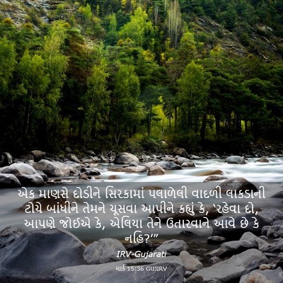 Picture 03 - માર્ક 15:36 GUJIRV - એક માણસે દોડીને - Bible Verse Picture