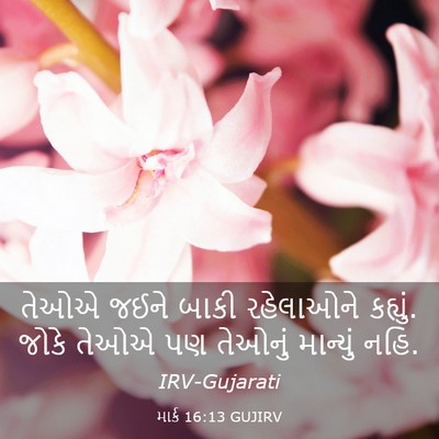 Picture 03 - માર્ક 16:13 GUJIRV - તેઓએ જઈને બાકી - Bible Verse Picture