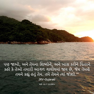 Picture 03 - માર્ક 16:7 GUJIRV - પણ જાઓ, અને તેમના - Bible Verse Picture