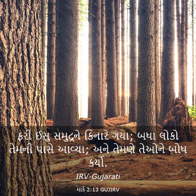 Picture 03 - માર્ક 2:13 GUJIRV - ફરી ઈસુ સમુદ્રને - Bible Verse Picture