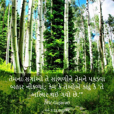 Picture 03 - માર્ક 3:21 GUJIRV - તેમના સગાંઓ તે - Bible Verse Picture