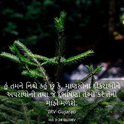 Picture 03 - માર્ક 3:28 GUJIRV - હું તમને નિશ્ચે - Bible Verse Picture