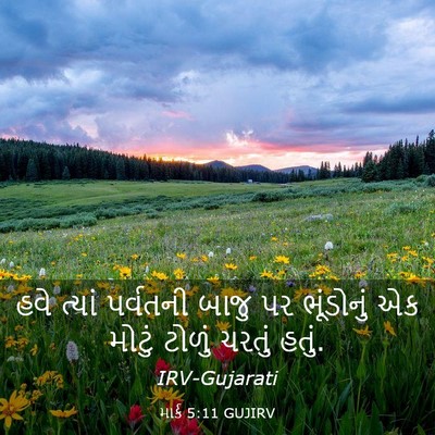 Picture 03 - માર્ક 5:11 GUJIRV - હવે ત્યાં પર્વતની - Bible Verse Picture