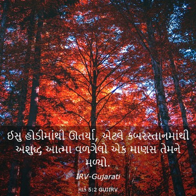 Picture 03 - માર્ક 5:2 GUJIRV - ઈસુ હોડીમાંથી - Bible Verse Picture