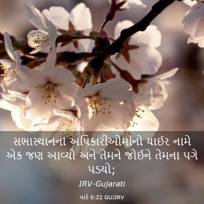 Picture 03 - માર્ક 5:22 GUJIRV - સભાસ્થાનના - Bible Verse Picture