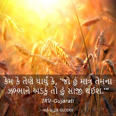 Picture 03 - માર્ક 5:28 GUJIRV - કેમ કે તેણે - Bible Verse Picture